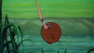 Tom and Jerry | Buddies and Lifes Compilation