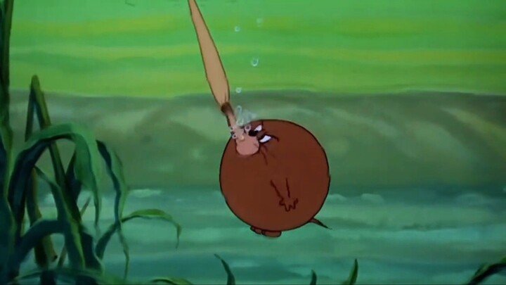 Tom and Jerry | Buddies and Lifes Compilation