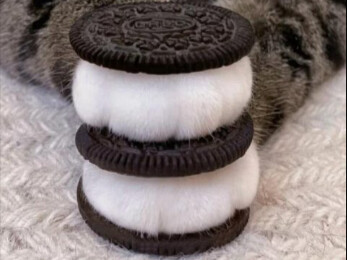 Không cười có thể chẩn đoán là trầm cảm Số 3