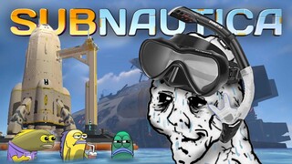 It's been almost a year but I finished Subnautica