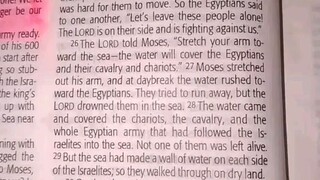 Daily Verse.                  Exodus 14:26-31