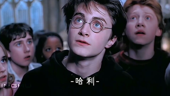 Untuk Kemenangan Kami yang Mati-Matian #HarryPotter