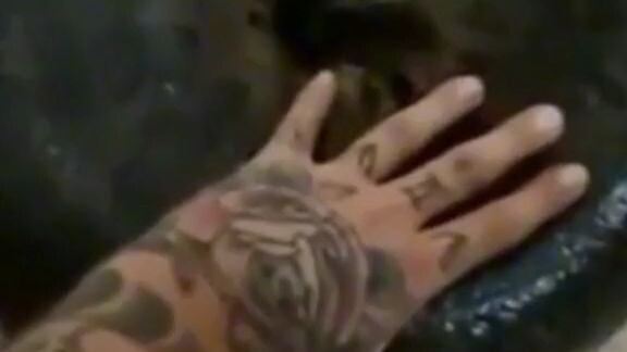 largest snake that people owned 😱