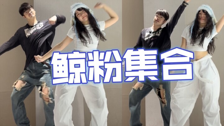 Newjeans标志动作合集