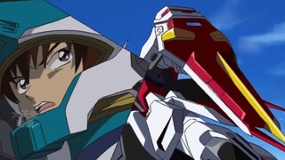 Gaia Gundam, binatang berkaki empat, mesin lingkungan khusus untuk pertempuran darat, Gundam Seed