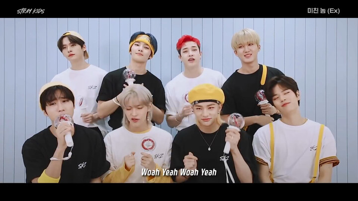 [Stray Kids] <IN Live> Tutorial on How to Cheer for the Track “EX”