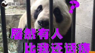 熊猫：我第一次见居然有人比我还话痨