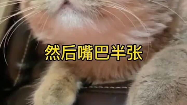 Membuatmu belajar tertawa seperti anjing, ternyata begini saja??
