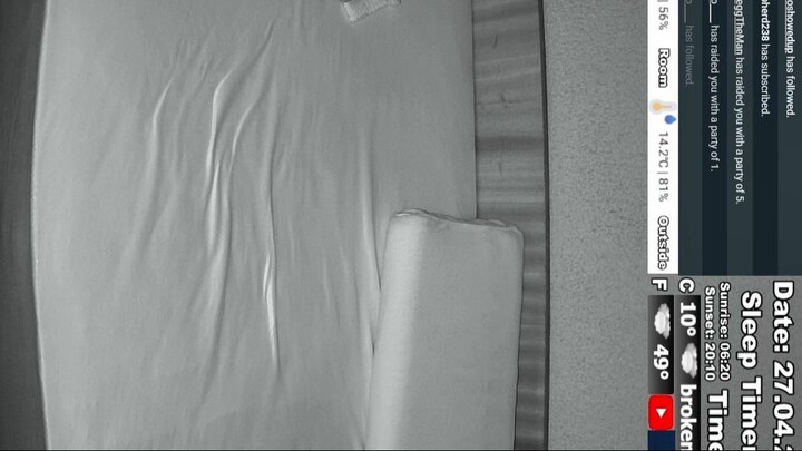 Sleep Stream 27.04.2025