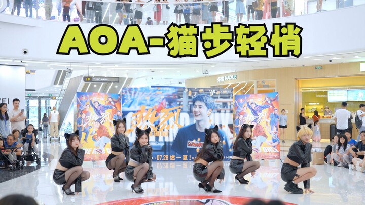【AOA-Catwalk Quietly】Semua anggota mengenakan telinga kucing, sepatu hak tinggi, dan kaki panjang da