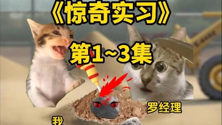 "Amazing Internship" Episodes 1–3: Nanshan Stubborn Rock is Cut