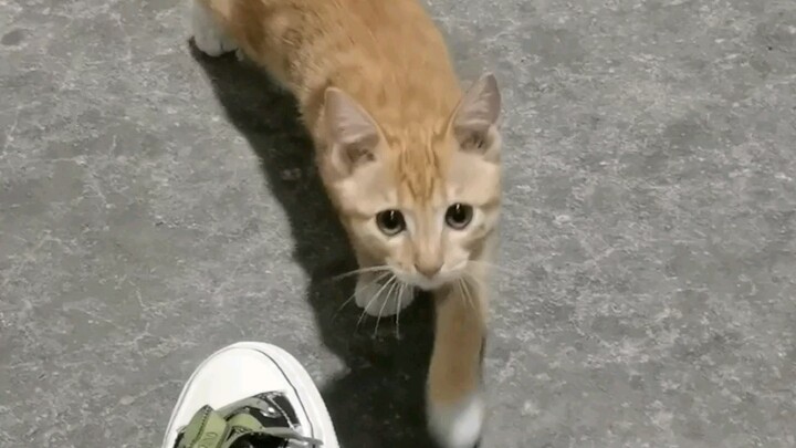 Thế nào là một “tmd bất ngờ”?!