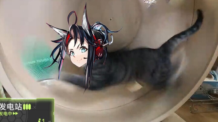 في محل الحلاقة هذا فقط