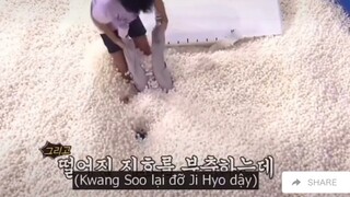 Mỗi lần nhìn ông Sú với Mợ đánh nhau buồn cười ghê