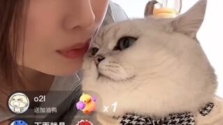 Fen'er akhirnya memanjakan Qin Hailu sekali ini juga.