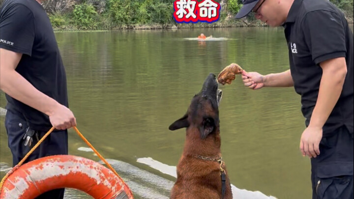 ในการฝึกซ้อมกู้ภัยทางน้ำ ภายใต้แรงบันดาลใจจาก “ขาไก่ยักษ์” บาวานก็เต็มไปด้วยพลังและช่วยชีวิต “ผู้ตกน