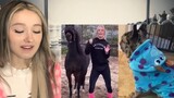 Try Not To “Awww” CHALLENGE - Funny Animals REACTION!!!