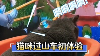Ketika saya mengajak kucing saya naik roller coaster, ternyata...