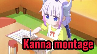 Kanna montage