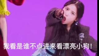 【NMIXX JIWOO】点进来看漂亮搞怪小狗！DICE 舞蹈接力Jiwoo自剪Focus