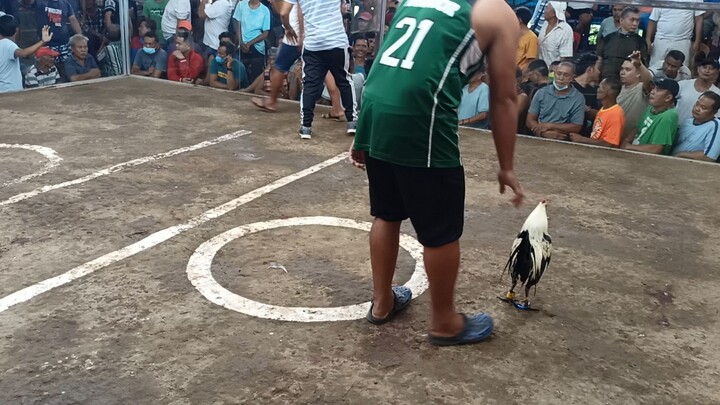 sabong is passion 🐓