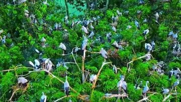 bangladesh