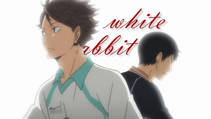 【Oikawa Toru×Kageyama Feixiong|MAD】"I am the most difficult bad habit for you to quit"