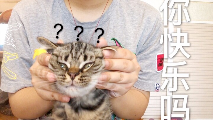 It turns out the calico cat’s genes are really strong! The mom cat says, “There’s no way this is my 