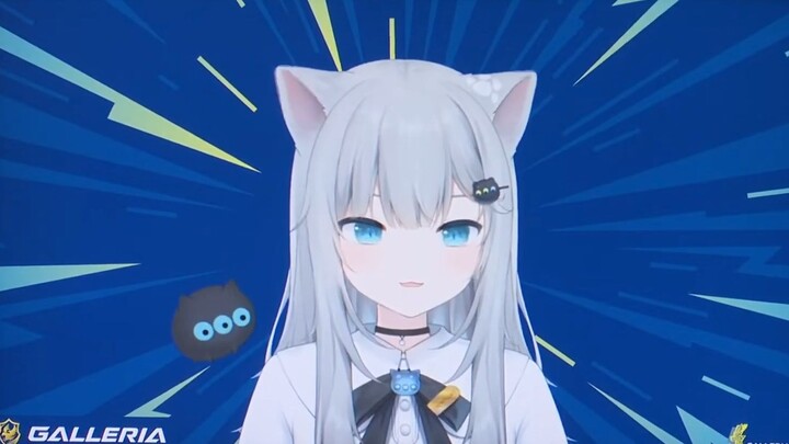 Gancheng Cat's first 3D interview ~ Bathing and such are not done every day!