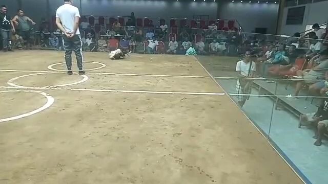 my white kelso tibay kalaban