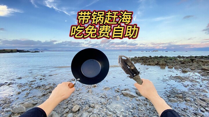 Caught a big tide while foraging at the beach—free seafood buffet to your heart’s content, and you c