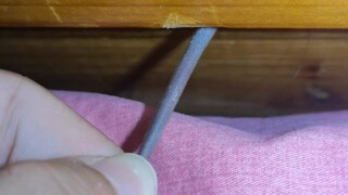 I caught the tail of a cute animal—what should I do? I'm really anxious.