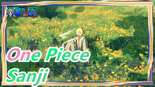 [One Piece MAD] Sanji, Don't Cry / He Who's More Considerate Is More Pitiful_B