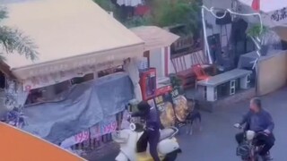 امرأة تستخدم كلبًا أبيض كبير للرد على كلب صغير غير مقيد بمقود