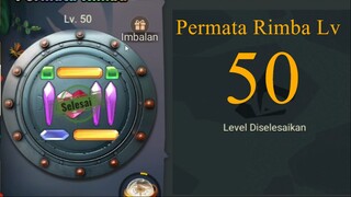 BERAPA BANYAK MEMERLUKAN PAHAT RIMBA LV 50 - STATE OF SURVIVAL