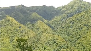 the mountain