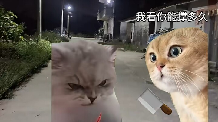 This is precisely the moment to protect your loved one.