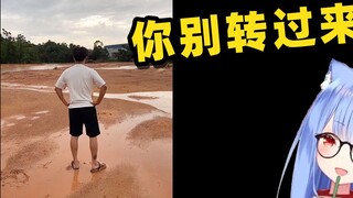 Japanese cats laughed like crazy after watching "Even if you won 5 million, you won't be as happy as