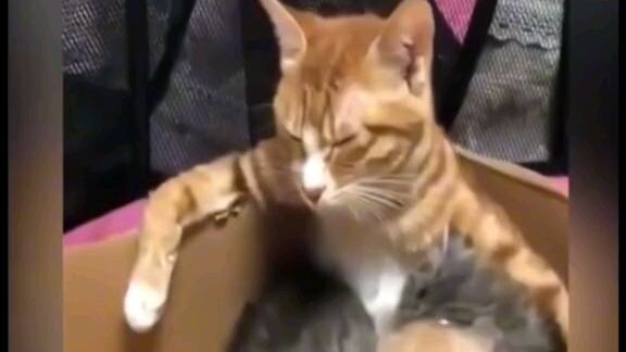 ครับอันนี้