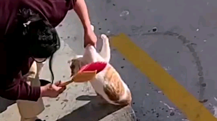 It's just like how my mom used to complain about me when I was a kid.