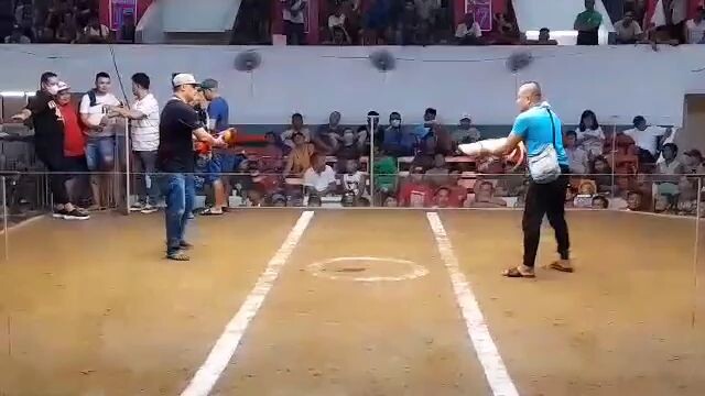 #2hits champion philipgf white kelso