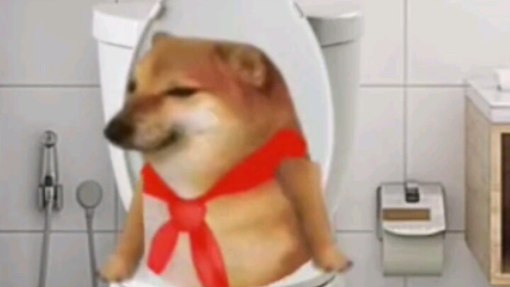 cuộc đời của cheems