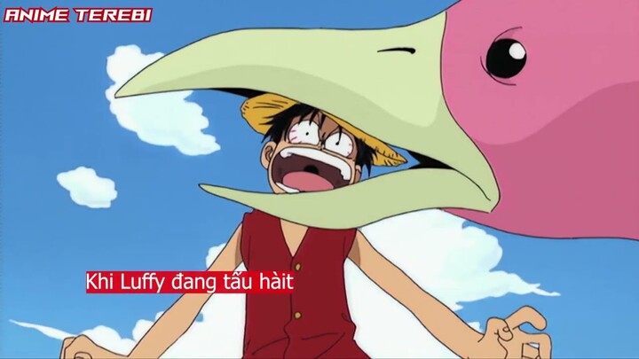 Review Anime One Piece - Tóm tắt phim Vua Hải Tặc  - Phần 1 - Người đồng đội đầu tiên