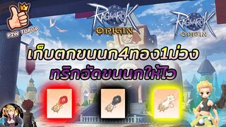 [ROO] Ragnarok Origin Ep.4.1 เก็บตกขนนก 4ทอง 1ม่วง ทริกอัดขนนกที่ต้องการให้ไว