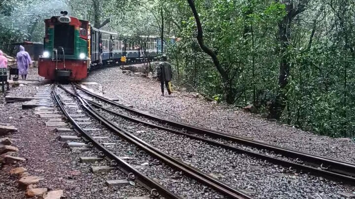 narrow gauge train journey