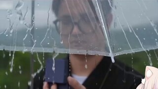 Cabbage watch funny video