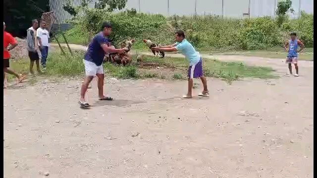 chamba🤣