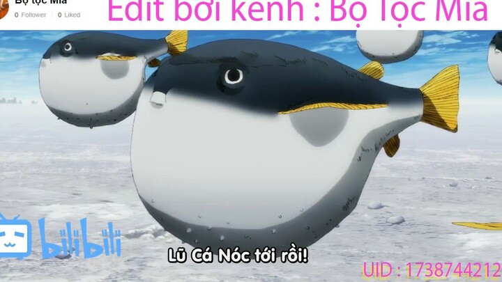 Lũ cá nóc tới rồi #anime