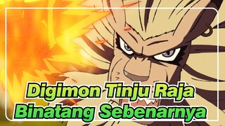 Digimon | [Adegan Epik di EP 19] Roar! Tinju Raja Binatang Sebenarnya