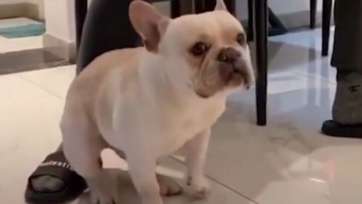 อย่ามีใครเถียงฉันเลย เขาต้องหมายความแบบนี้แน่นอน